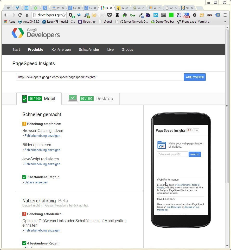 Screenshot der Google PageSpeed Insights Seite - wieder responsive