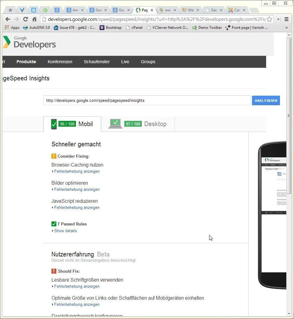 Screenshot der Google PageSpeed Insights Seite - nicht responsive